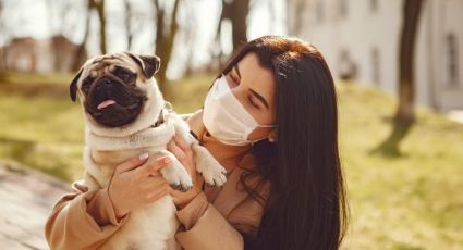 ¡No los abandones! El Locatel pide cuidar a mascotas en tiempos de coronavirus