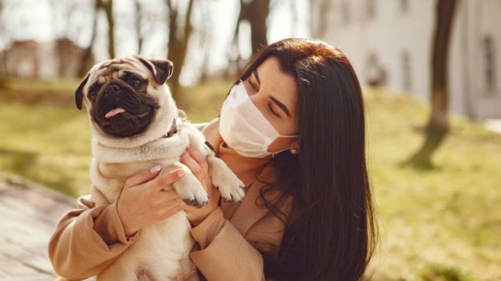 ¡No los abandones! El Locatel pide cuidar a mascotas en tiempos de coronavirus