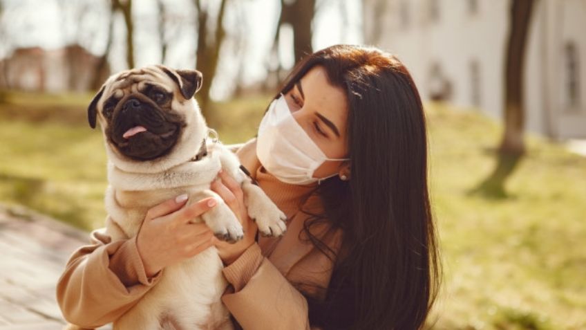 ¡No los abandones! El Locatel pide cuidar a mascotas en tiempos de coronavirus