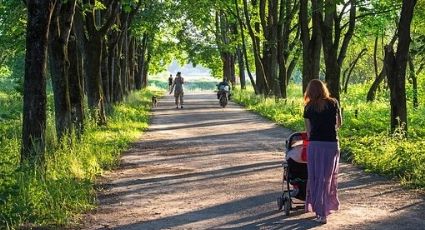 Madre entra en pánico después de que un hombre intentara robarle a su bebé en un parque