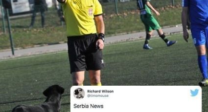 ¡Guau! Perro es expulsado por árbitro tras invadir un campo de futbol en Serbia