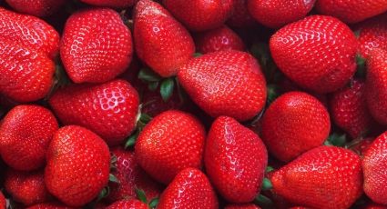 ¡Conquista su paladar! Este flan de fresas será la mejor opción para este San Valentín