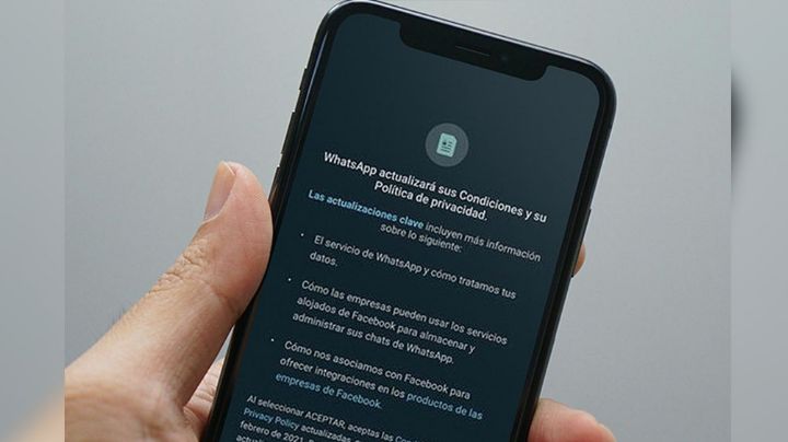 ¿Aceptaste las nuevas políticas? Esto pasará con tu WhatsApp este 8 de febrero