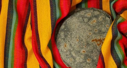¡Sorprendente! Descubre todos los tipos de tortilla que existen en México