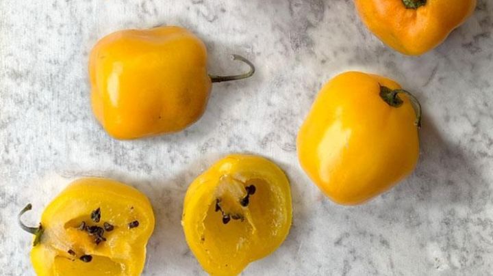 Lleva tu paladar al sabor más picante y disfruta de los beneficios del chile manzano