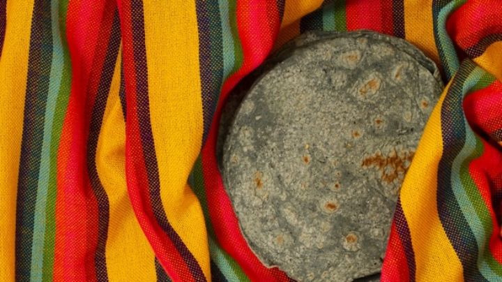 ¡Sorprendente! Descubre todos los tipos de tortilla que existen en México