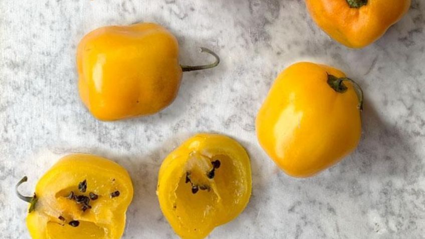 Lleva tu paladar al sabor más picante y disfruta de los beneficios del chile manzano