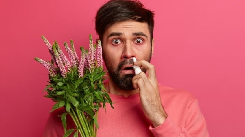 Vive tu primavera libre de alergias con ayuda de estos remedios naturales de flores