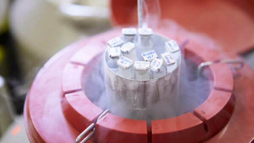 Científicos proponen crear una bóveda con esperma en la Luna por si "se acaba el mundo"