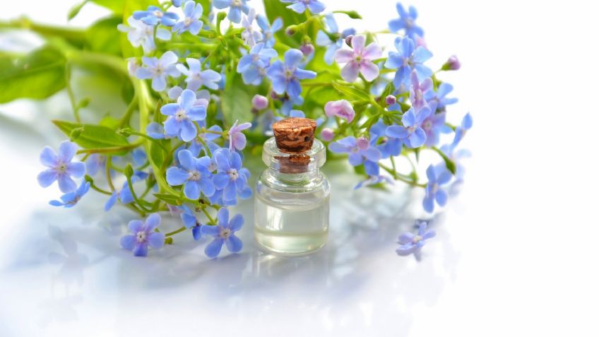 Terapia de flores: Descubre qué es y cuáles son sus grandiosos beneficios