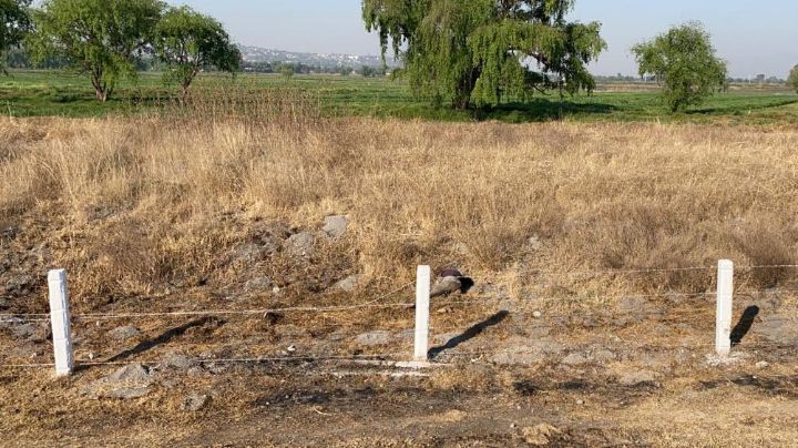 Macabro final: Localizan el cadáver de un hombre a un lado de la carretera; estaba putrefacto