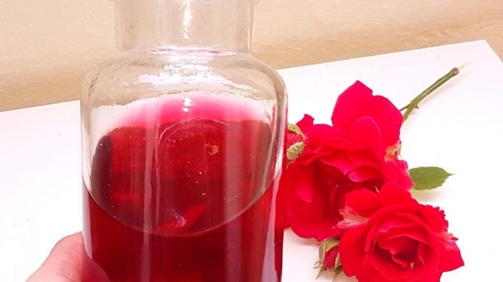 ¡Aprovecha el poder de las flores! Conoce los beneficios que el agua de rosas tiene para ti