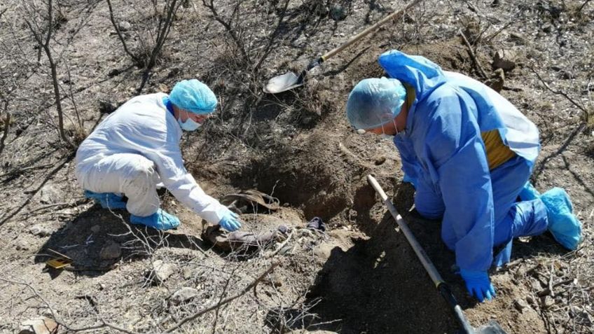 Terrible hallazgo en Sonora: Localizan tres cadáveres putrefactos enterrados en Nogales
