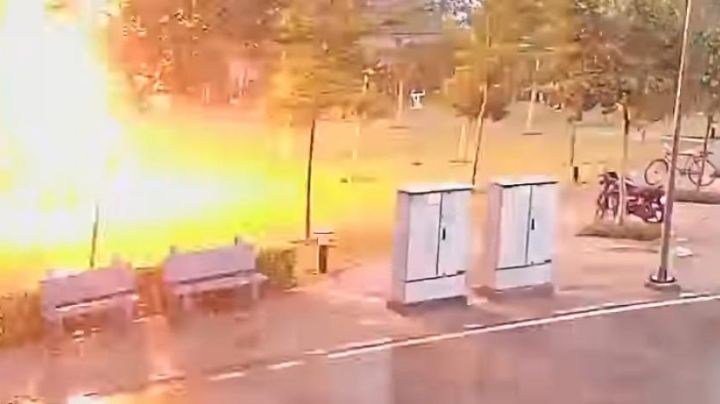 VIDEO: Rayo electrifica a 4 hombres que se refugiaban de la lluvia bajo un árbol