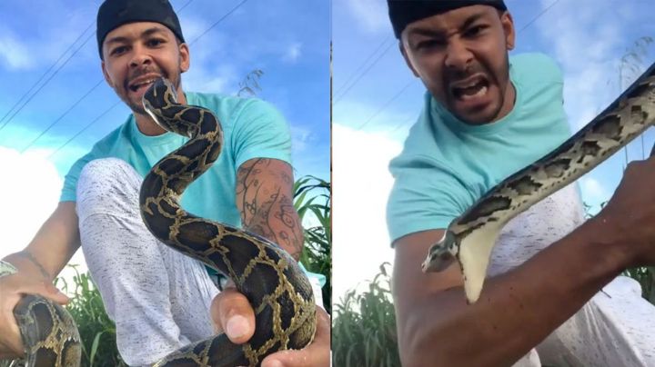 FUERTES IMÁGENES: Youtuber es atacado en la cara por una serpiente mientras grababa