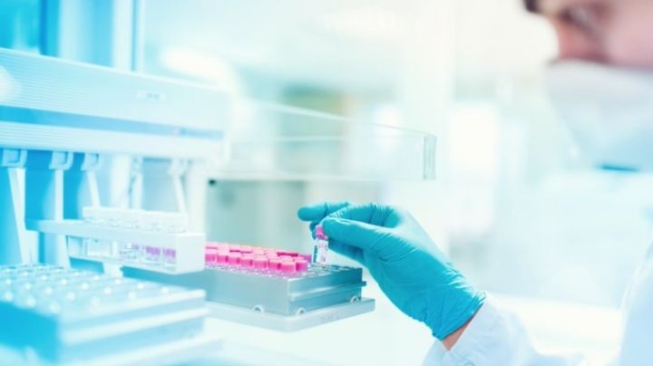 Garantizan eficacia y seguridad de la vacuna de AstraZeneca contra coronavirus