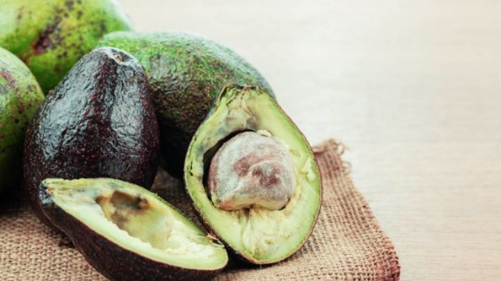 ¡Precaución! Esto es lo que hace la temporada de calor a tus alimentos frescos