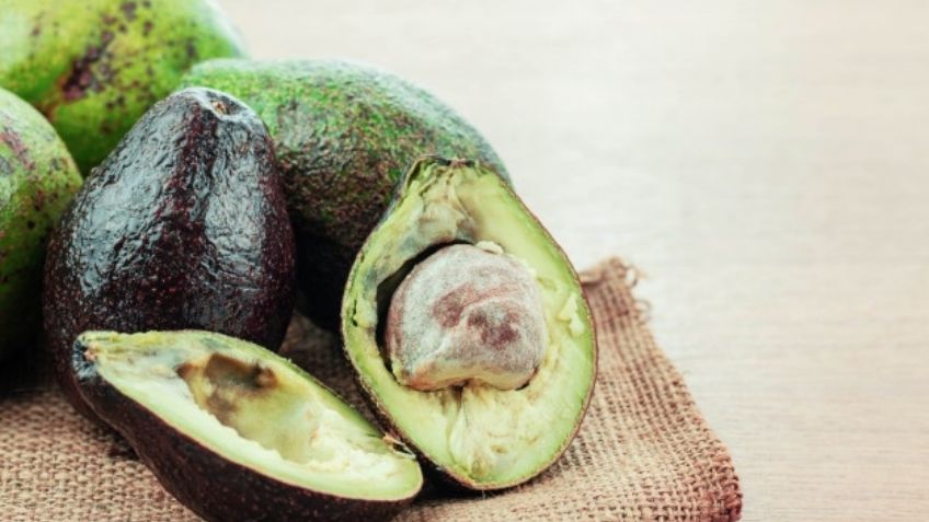 ¡Precaución! Esto es lo que hace la temporada de calor a tus alimentos frescos