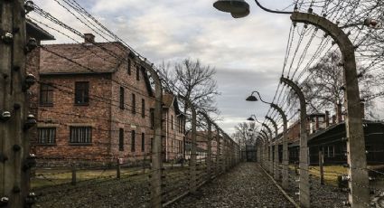 ¡Toda una guerrera! Mujer judía sobrevive al Holocausto y ahora vence al Covid-19