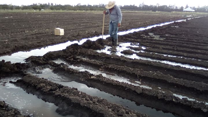 Distrito de riego 038 consigue volumen de agua adicional para el Valle del Mayo