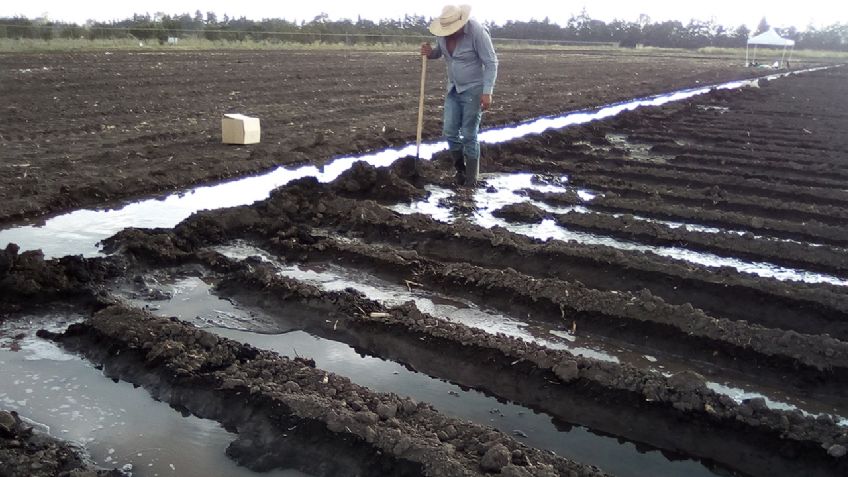 Distrito de riego 038 consigue volumen de agua adicional para el Valle del Mayo