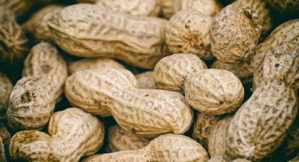 ¡Sorprendente noticia! El cacahuate sería un gran aliado para evitar la diabetes tipo 2