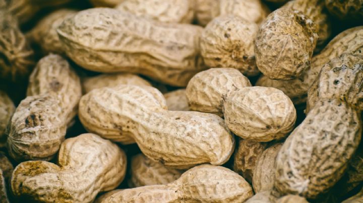 ¡Sorprendente noticia! El cacahuate sería un gran aliado para evitar la diabetes tipo 2