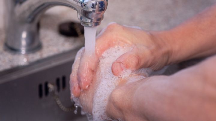 Covid-19: Estos sustitutos del agua y jabón te ayudarán a desinfectar tus manos