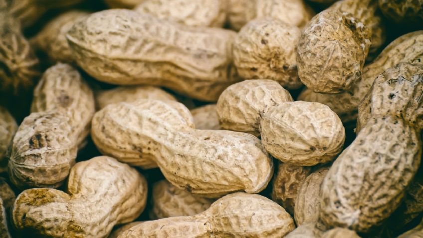 ¡Sorprendente noticia! El cacahuate sería un gran aliado para evitar la diabetes tipo 2