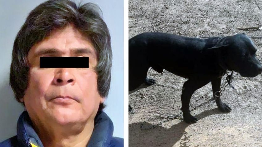 Omar Alonso de 51 años apuñaló a una perrita en Sonora y ahora se encuentra tras las rejas