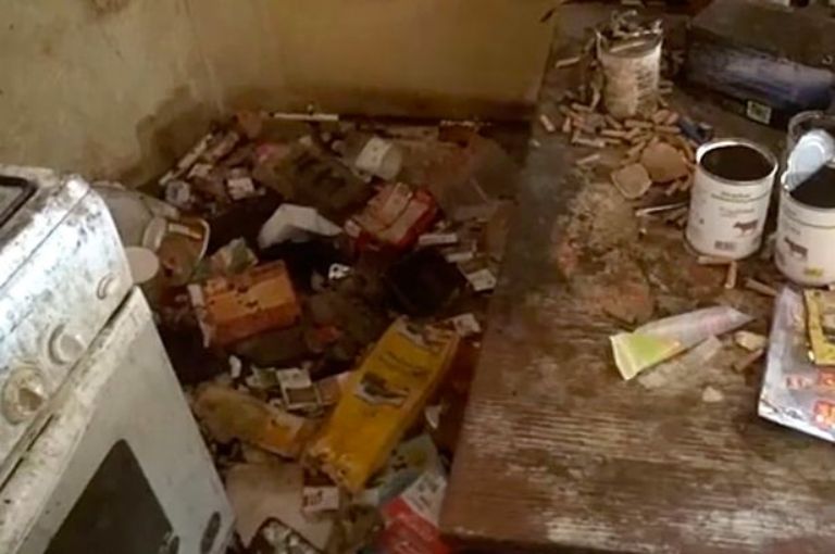 'Niña Mowgli' vivía entre basura con 19 gatos