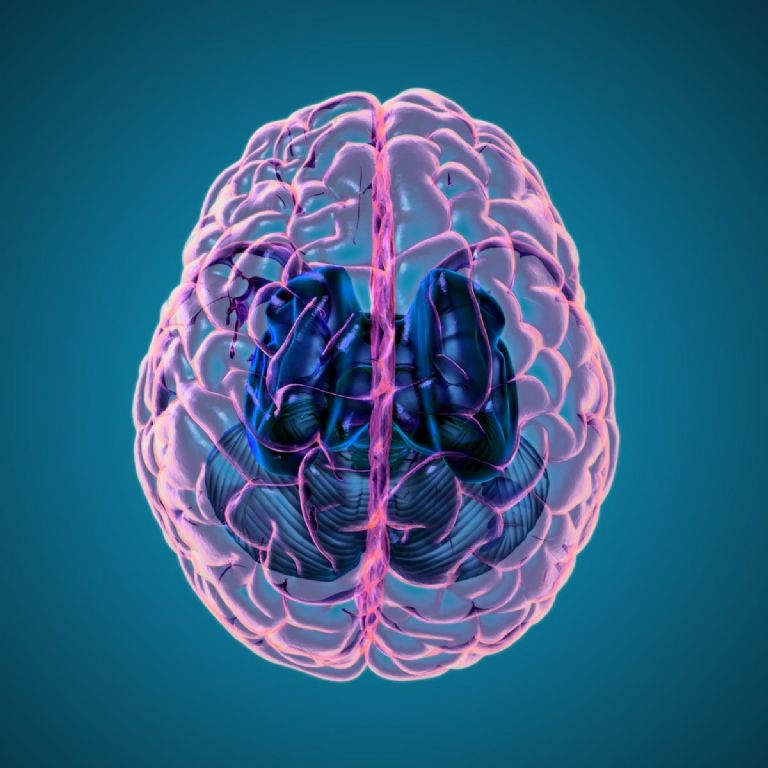 Descubren "genes zombies" en el cerebro humano