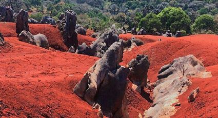 ¡No es Marte, sino México! Descubre estas increíbles dunas de arena color rojo