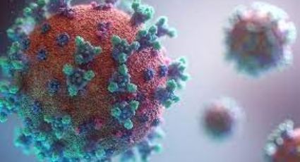 Coronavirus nos contagiará cada dos o cuatro años de manera menos severa, asegura experto