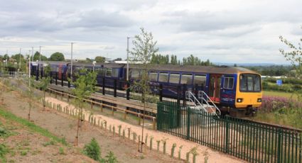 ¡Desalmada! Mujer amarra a un gato con una toalla y lo arroja a las vías del tren