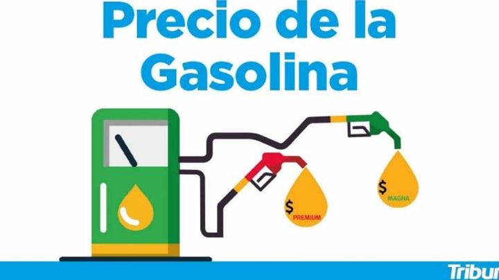 Así amaneció el precio de la gasolina en este domingo 28 de marzo del 2021