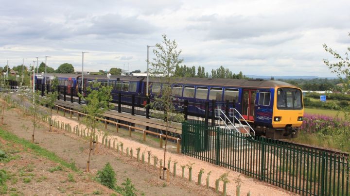 ¡Desalmada! Mujer amarra a un gato con una toalla y lo arroja a las vías del tren