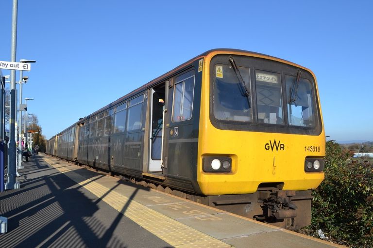 Buscan a mujer por arrojar un gato a las vías del tren