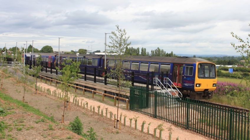 ¡Desalmada! Mujer amarra a un gato con una toalla y lo arroja a las vías del tren