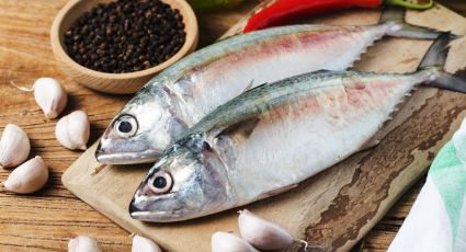 Asombroso: Comer estos 5 pescados protegerían tu salud cardíaca