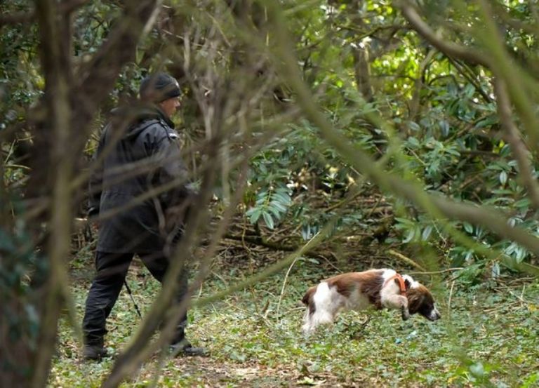 Madre deja morir a su bebé recién nacido; lo abandonó en el bosque