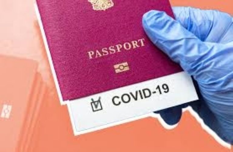 Pasaporte Covid, cómo cambiaría la vida durante la pandemia