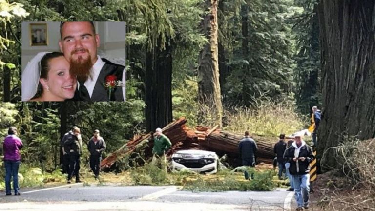 Jessica Woodruff y su esposo murieron en un fatal accidente