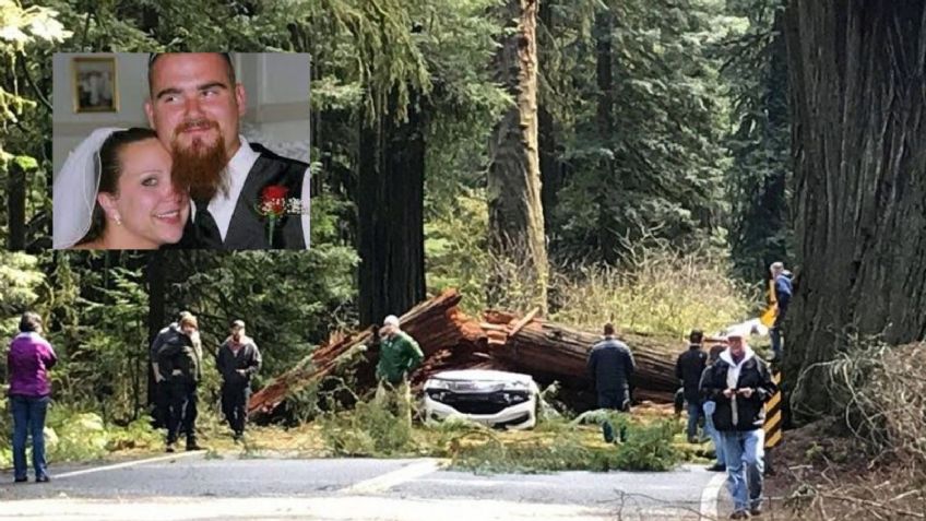 Fatal accidente: Pareja muere aplastada por un árbol; dejaron a cinco niños huérfanos