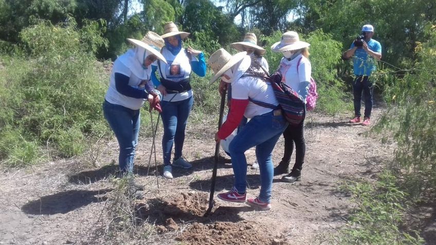 Identifican a dos hombres encontrados en fosas clandestinas en Cajeme; eran hermanos