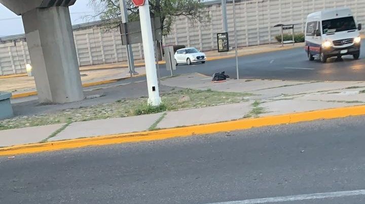 Encuentran 5 cuerpos descuartizados en Guanajuato; venían con mensaje firmado por 'El M1'