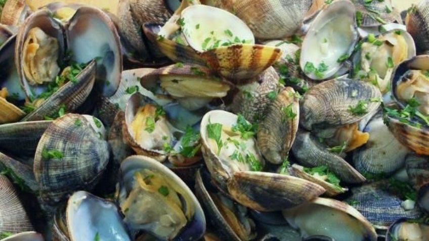 ¿Qué comerás hoy? Estas almejas en su jugo conquistarán hasta al paladar más exigente