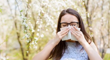 ¿Estornudos? Trata tus alergias a las flores en esta primavera con esos remedios