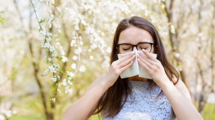 ¿Estornudos? Trata tus alergias a las flores en esta primavera con esos remedios
