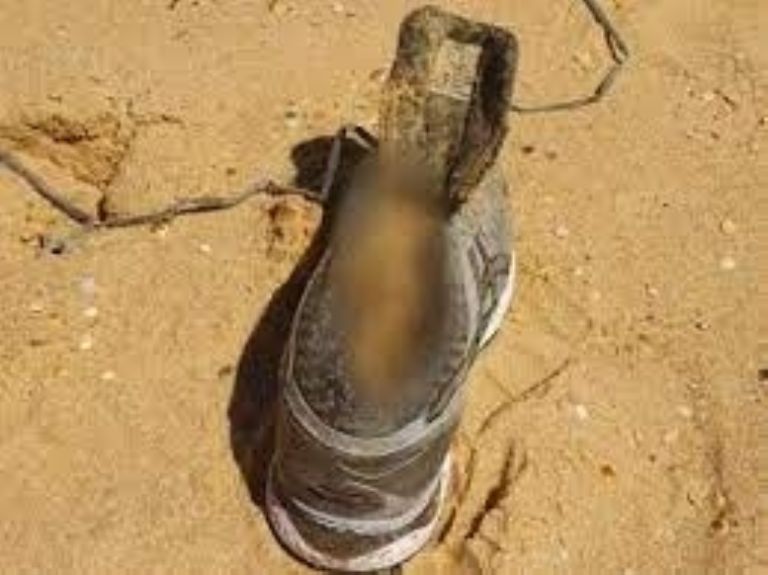 Melissa Caddick se habría cortado el pie para huir de la justicia